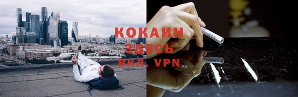 гашик Зуевка