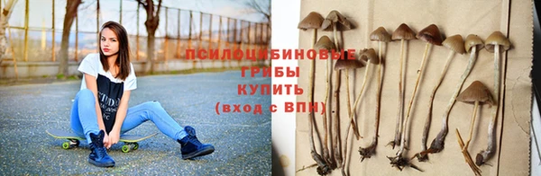 таблы Магас